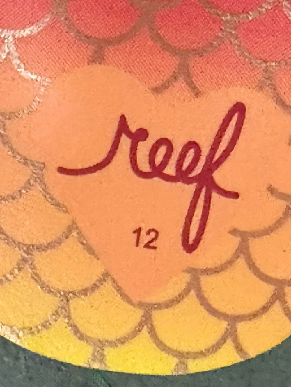 Reef colorful fun